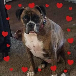 Meet your Posher, Lori